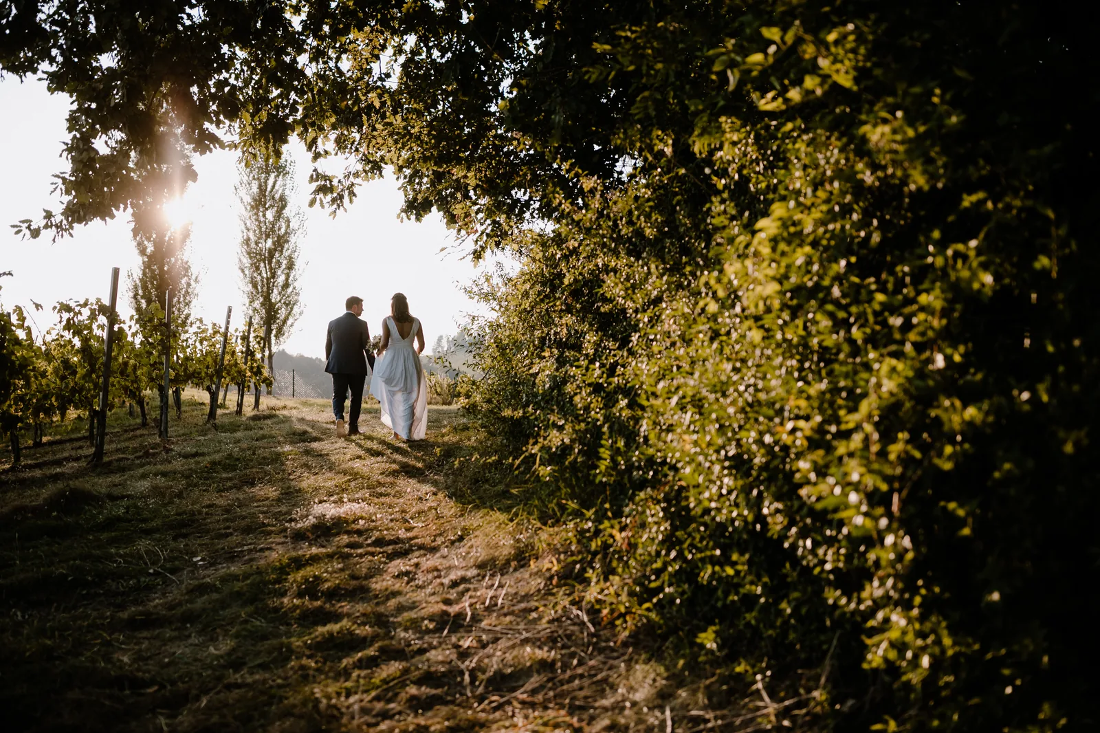 Brautpaar im Weinberg im goldenen Abendlicht